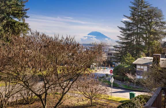 Sunny Seattle Home Mt Rainier, UW Steps Away